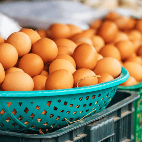 Buy and Sell Chicken Eggs