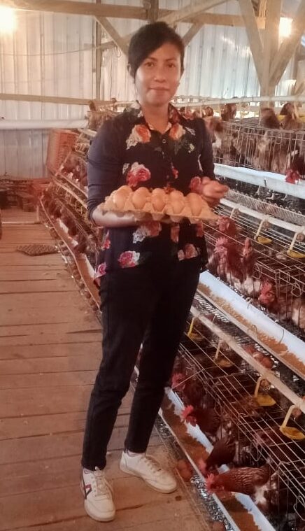 Peternak Telur Rote NTT